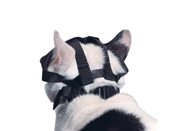 MUSERUOLA NYLON GATTO BUSTER - immagine 3