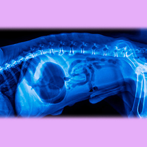 ATTREZZATURE RADIOLOGICHE